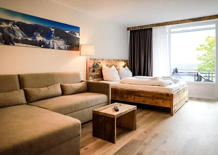 Smart Brilliant 603 Winterberg